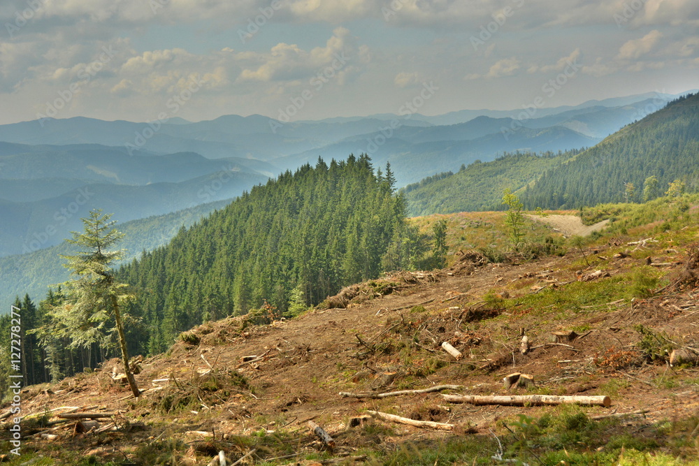 Naklejka premium beautiful views of the mountains
