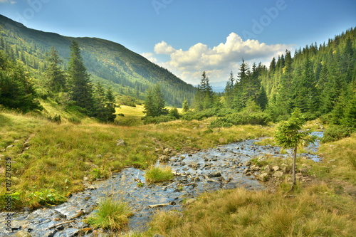 mountain river in the Mountains