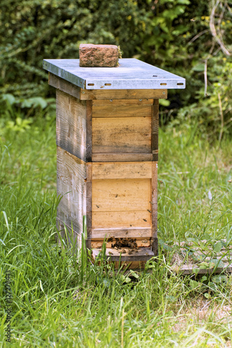 Bienenstock einer Imkerei
