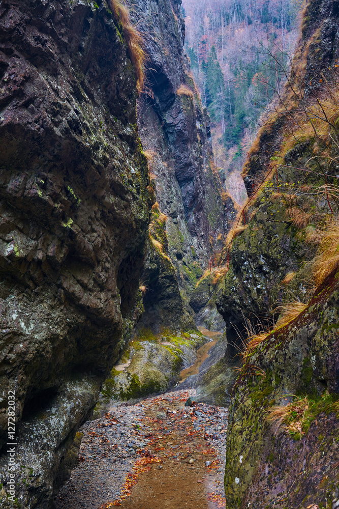 Fototapeta premium Canyon in mountains