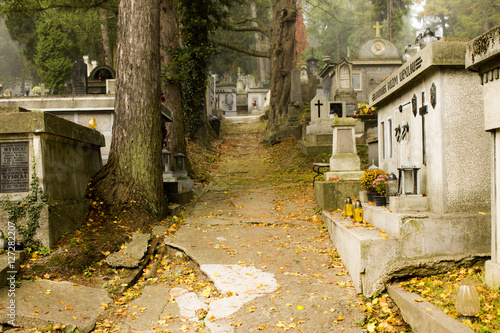 Old graves and fog. The main cemetery in Przemysl, Poland. The main municipal cemetery - founded approx. 1855 years. 2014