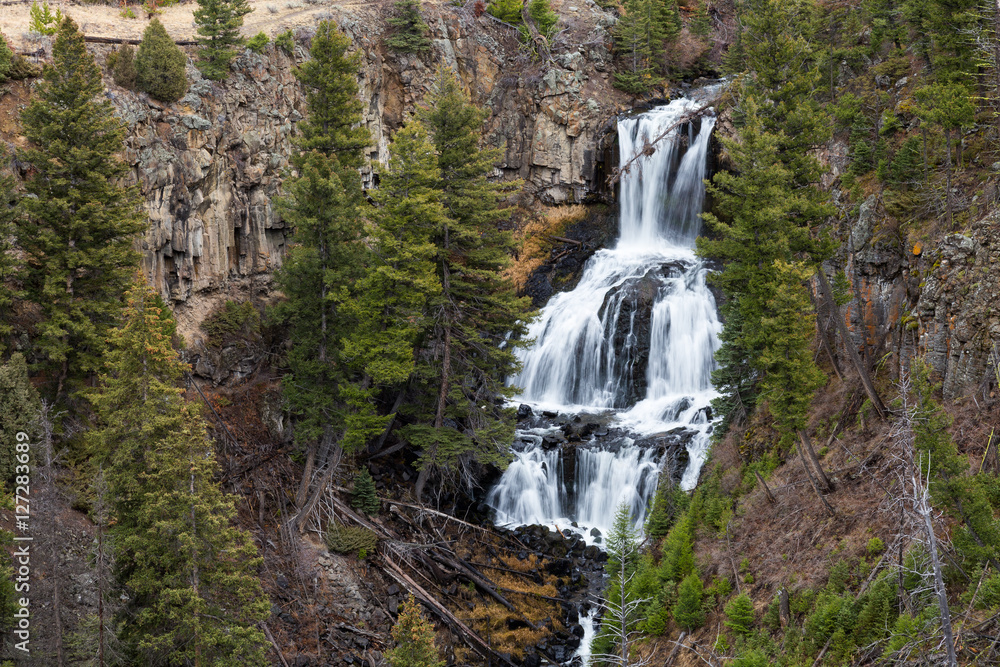 Fototapeta premium Undine Falls in Yellowstone National Park