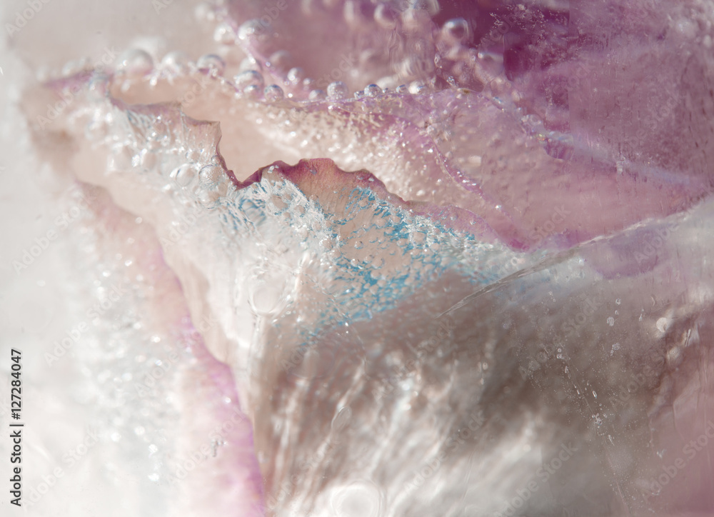 frozen flora art background frozen flora art background