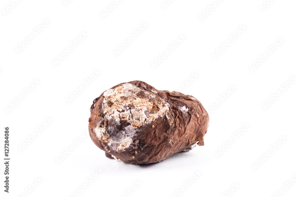 Photo spoiled potatoes. Bad products Photo spoiled potatoes. Bad products