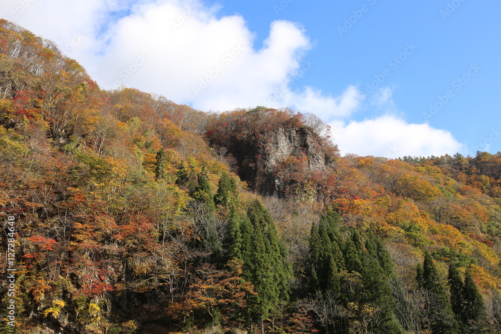 Obraz premium 紅葉の大地