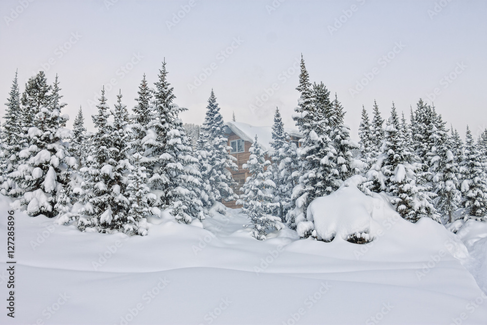 House under snow in winter wood chalet among spruce trees in the