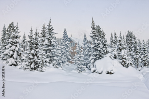 House under snow in winter wood chalet among spruce trees in the © Baikal360