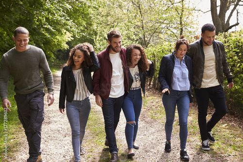 Six young adult friends walking together in a country lane