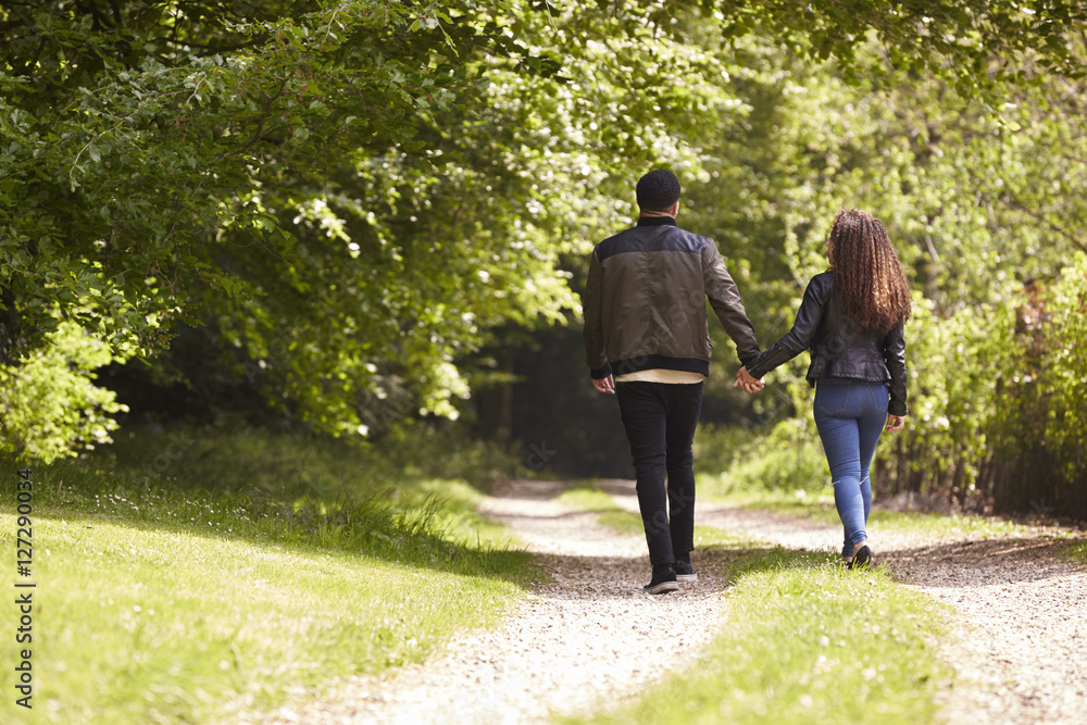 Fototapeta premium Couple holding hands and walking in rural setting, back view