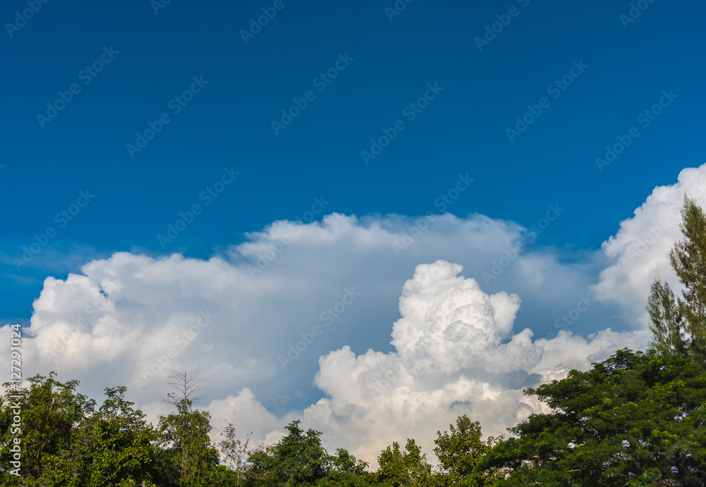 the tropical green forest and cloudy sky . the tropical green forest and cloudy sky .