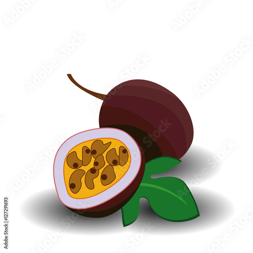 Passionfruit or passion fruit, maraquia, maracuja, maracuya fresh ripe raw whole and half cut exotic berry. Vector square closeup side view realistic beautiful illustration isolated, white background photo