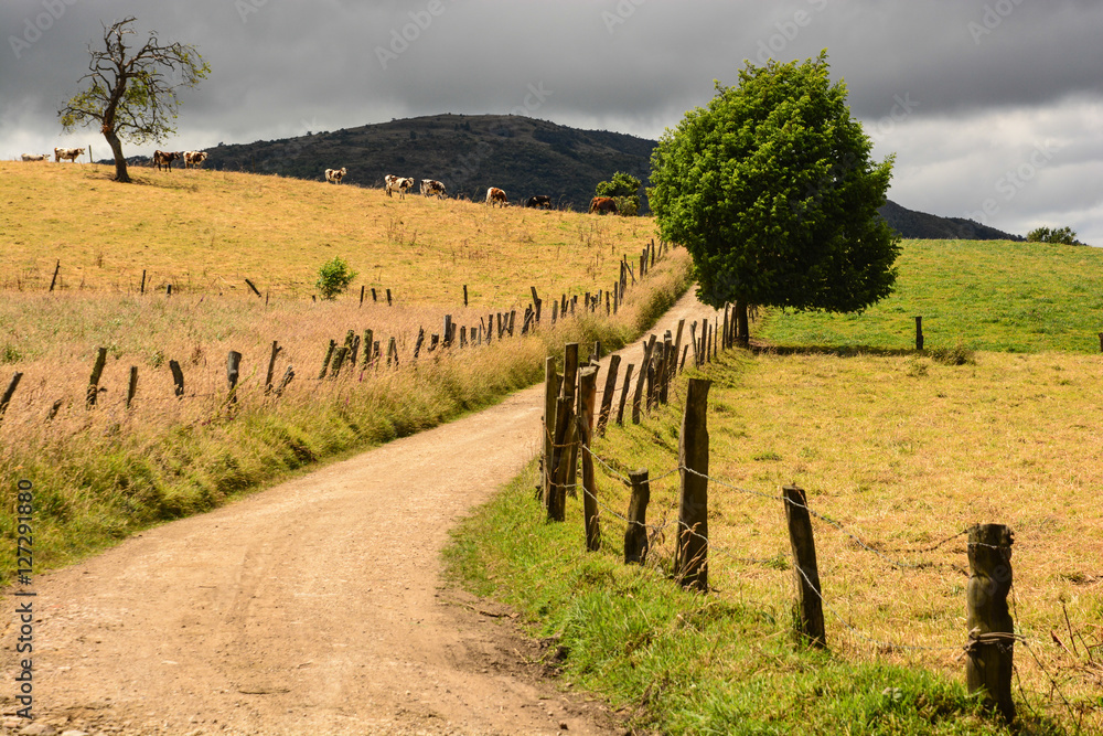 Road in the countryside of Colombia