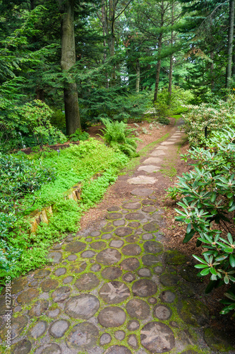 Trail through a forest