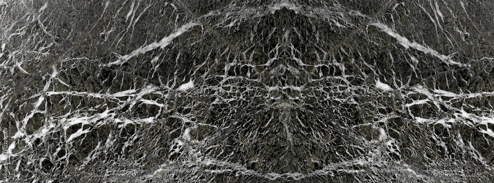 panorama marble with white veins panorama marble with white veins