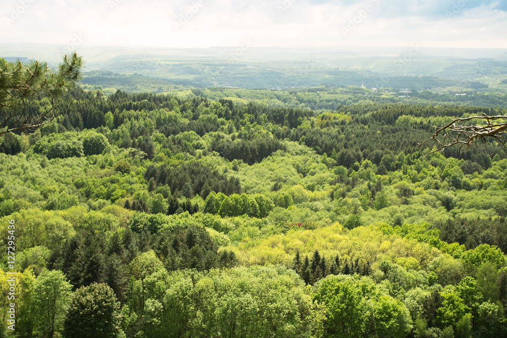 view of a forest, pleasant landscape view of a forest, pleasant landscape