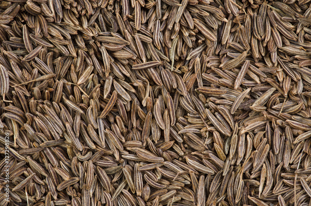 cumin background macro cumin background macro