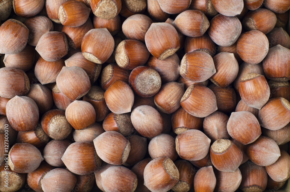 Hazel photo background walnut shell Hazel photo background walnut shell