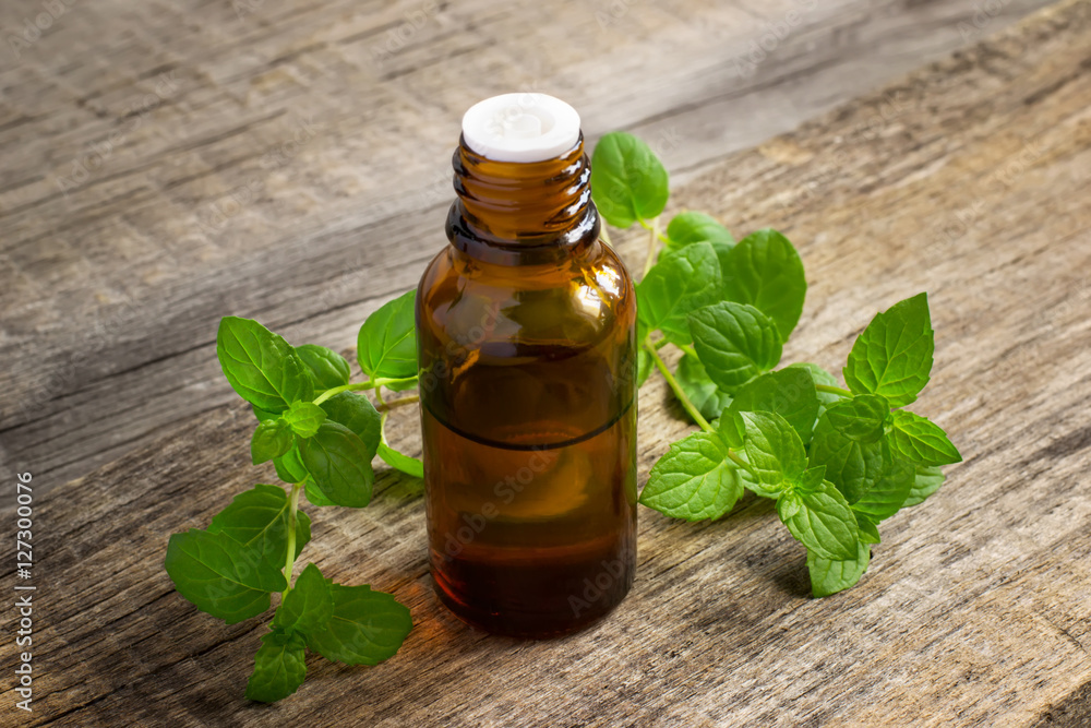 Essential oil of peppermint in a small bottle with fresh mint Essential oil of peppermint in a small bottle with fresh mint
