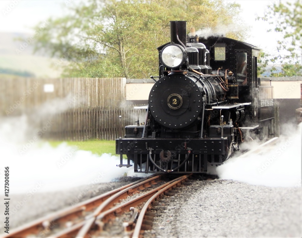 Naklejka premium Engine No.2, Brecon Mountain Railway