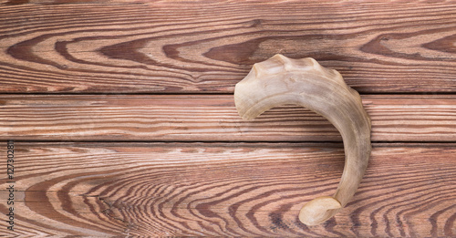 animal horn on wooden background