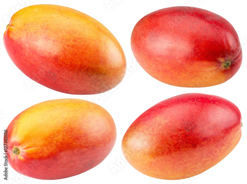 collection of mango isolated on the white background