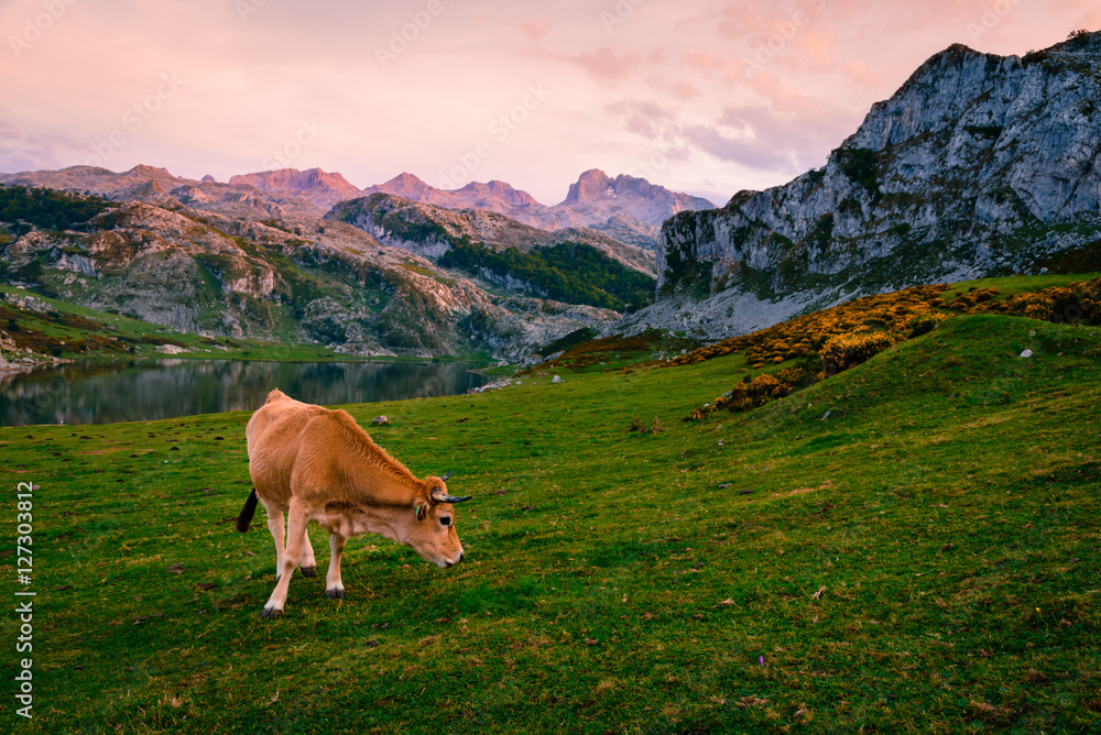 Beautiful scenery with the mountains Beautiful scenery with the mountains