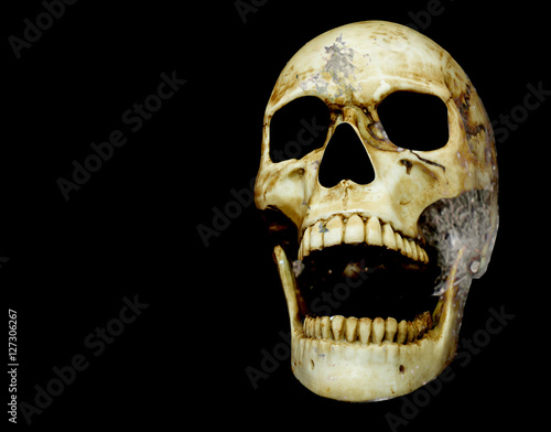 opening mouth human skull double exposure with moon surface isolated on black background with copy space, clipping path