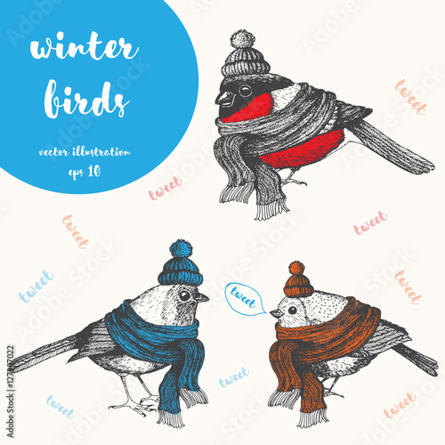 Christmas bird set. Xmas cute birds dressed in scarf and cap. Hand-drawn vector illustration
