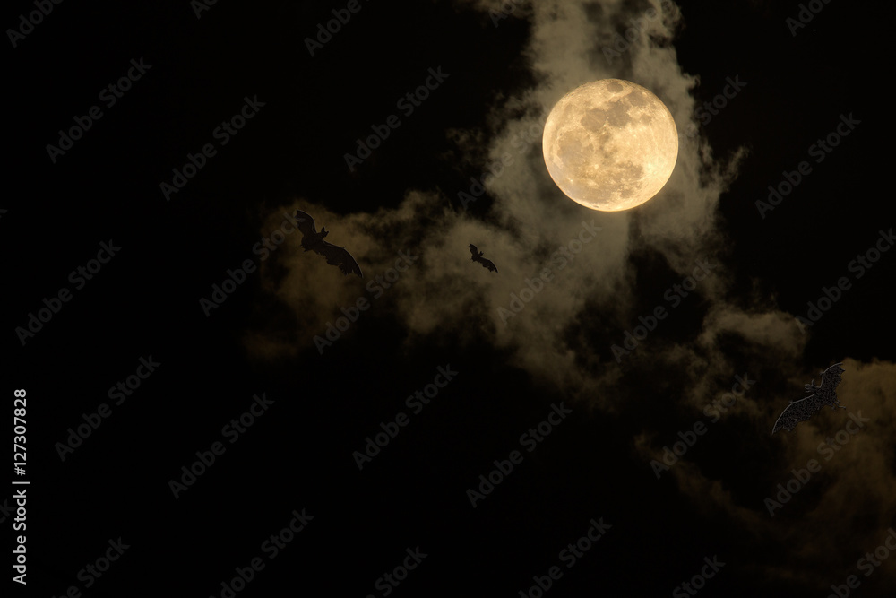 Obraz premium The moon and black cloud on the scary dark night / Select focus for background black space for text.