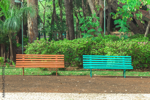Fototapeta Two benches side by side on a square with trees and a beautiful green vegetation background