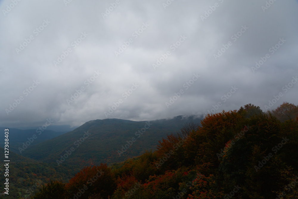 misty and cloudy autumn high in the mountains. misty and cloudy autumn high in the mountains.