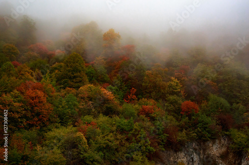 misty and cloudy autumn high in the mountains.