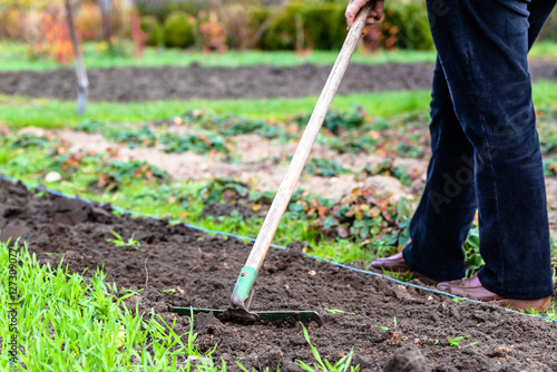 Принти на полотні Woman gardener raking soil