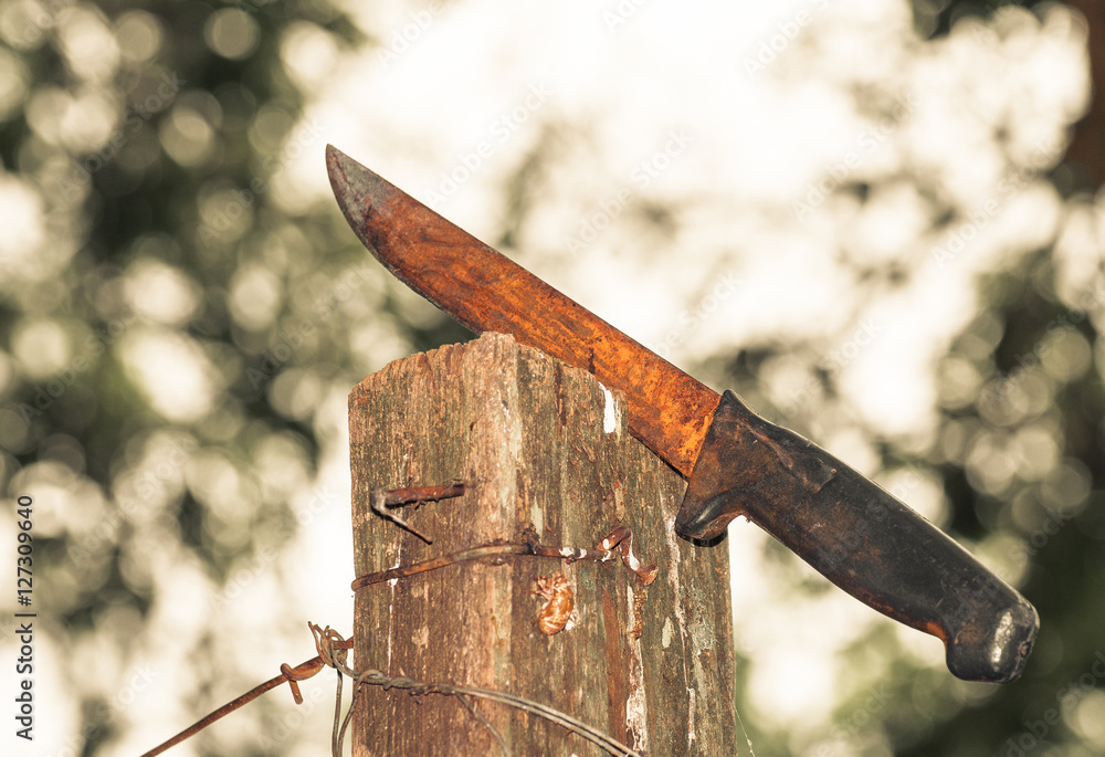 Rusty Knife Stuck On A Wooden Board Surrounded By Iron Wires Stock Photo Adobe Stock