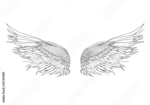 Wings. Vector illustration on white background. Black and white