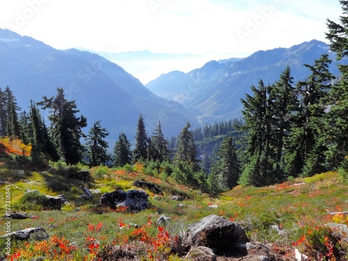 Autumn color painted grass on the slope, and the view of North Cascades and the valley