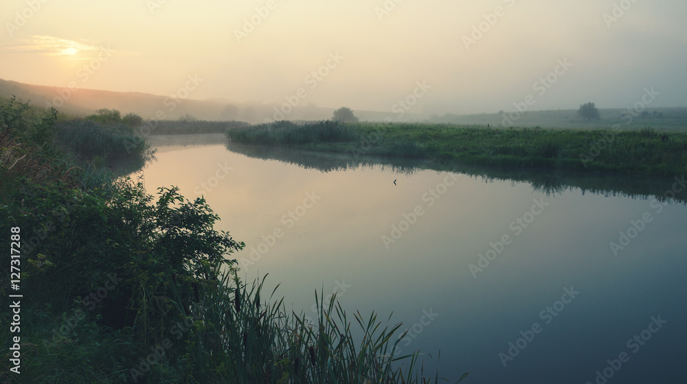 Misty summer landscape with river