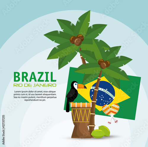 poster brazil macaw drum palm flag vector illustration eps 10