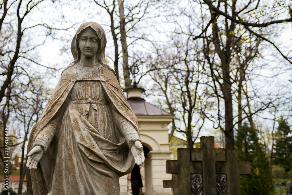 Fototapeta premium Statue of Virgin Mary
