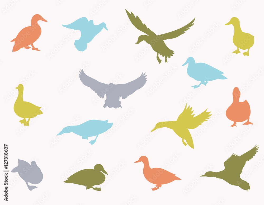 Vector silhouettes of ducks. Vector silhouettes of ducks.