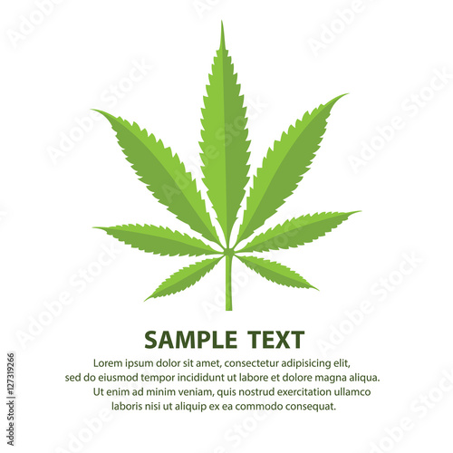 Medical marijuana cannabis vector flat