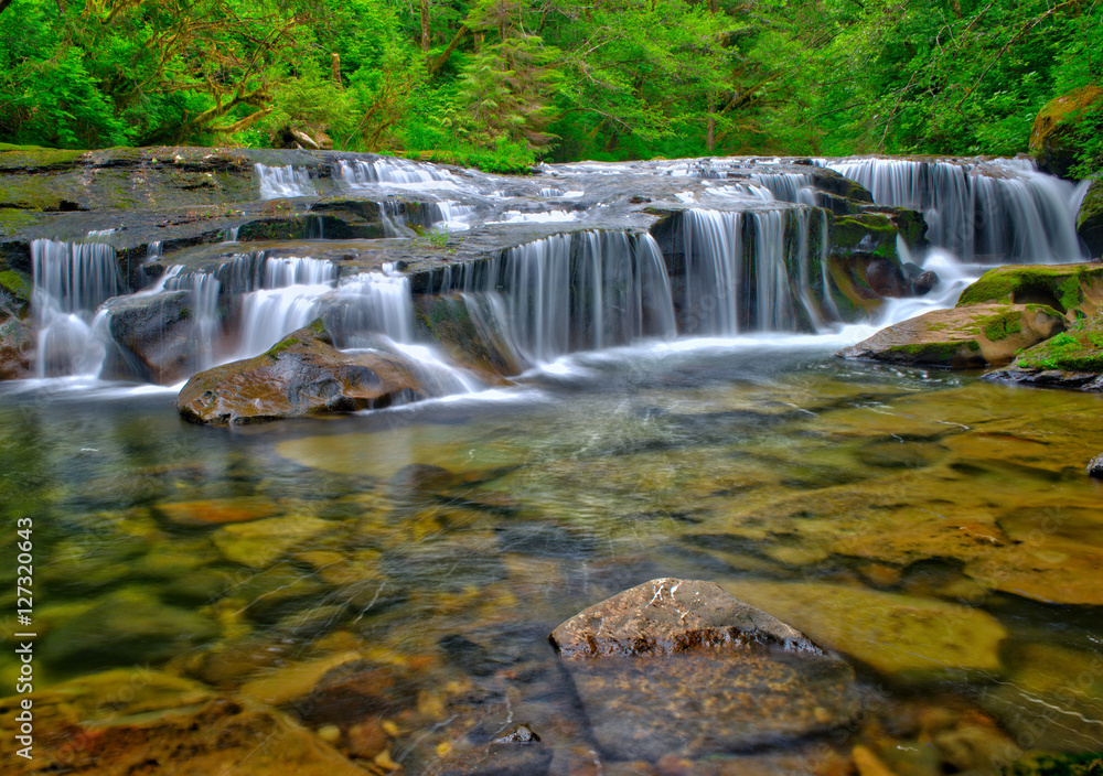 Fototapeta premium Sweet Creek waterfall