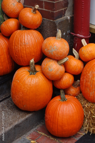 Pumpkins on display, Boston