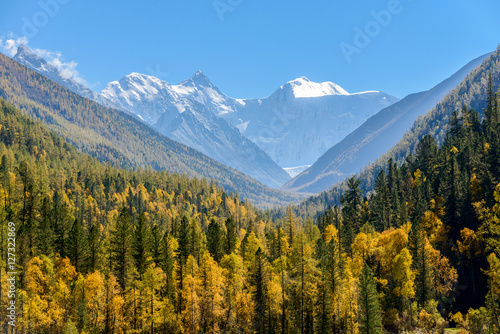Belukha Mountain in autumn