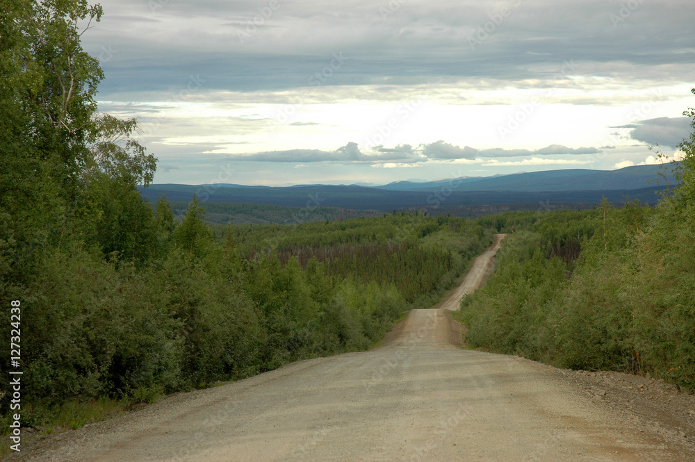 Scenic View of Lush Wilderness for Miles Along the Dalton Highway Through Alaska