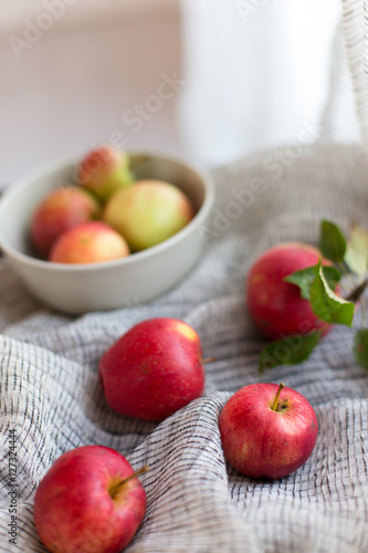 home garden apples on a light fabric red