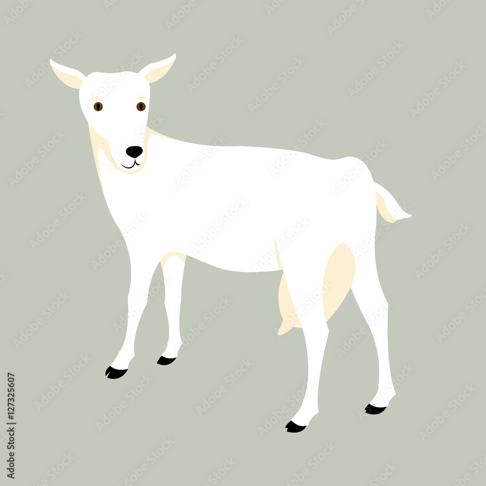 Obraz premium goat vector illustration style Flat