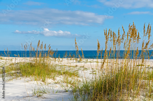 Obraz na plátně Gulf Coast Scenery