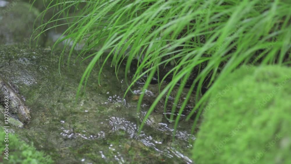 自然の恵み、冷たくて綺麗な水 自然の恵み、冷たくて綺麗な水
