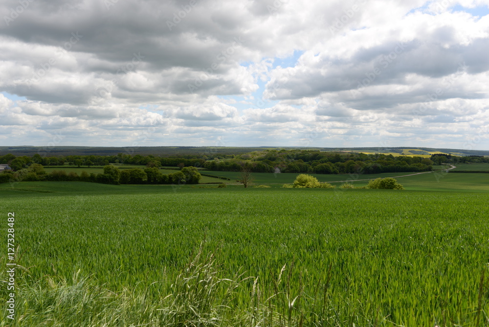 Fototapeta premium paysage 